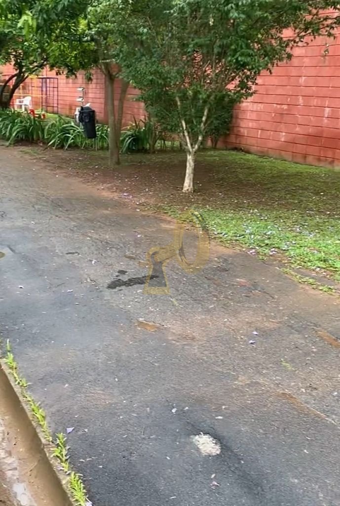 Imagem da propriedade 10