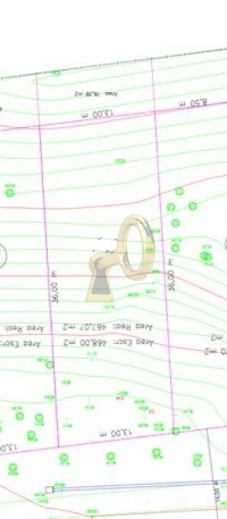 Imagem da propriedade 11