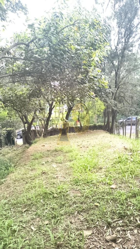Imagem da propriedade 5