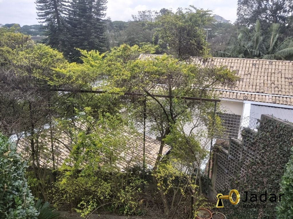 Imagem da propriedade 11