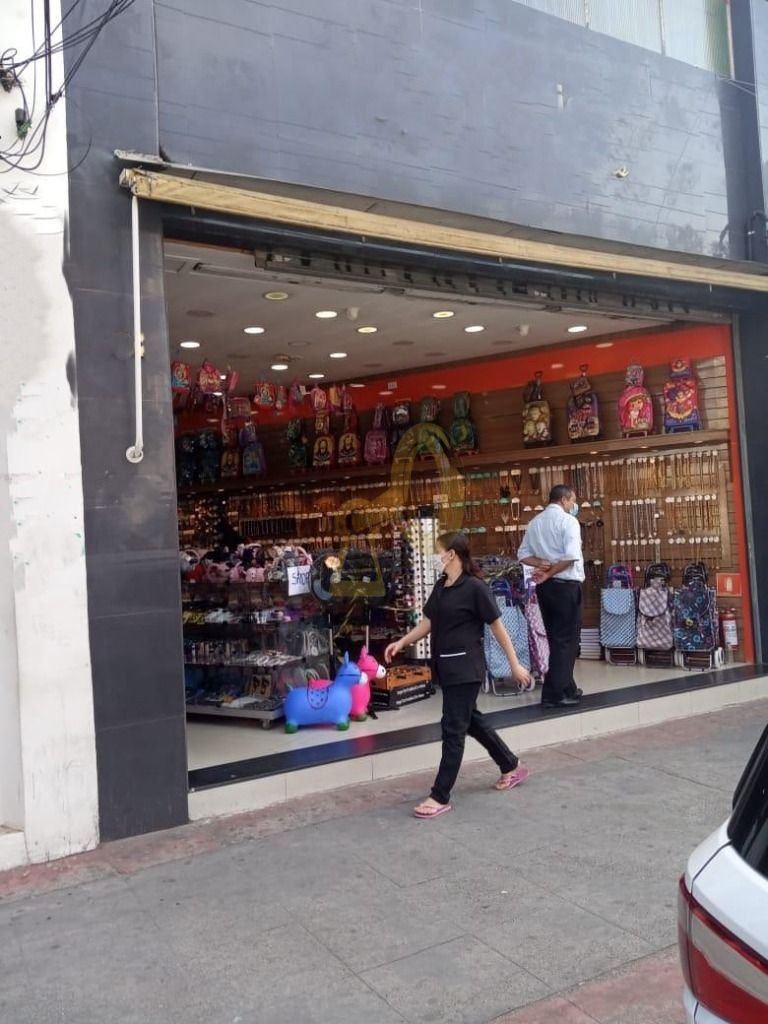 Imagem da propriedade 6