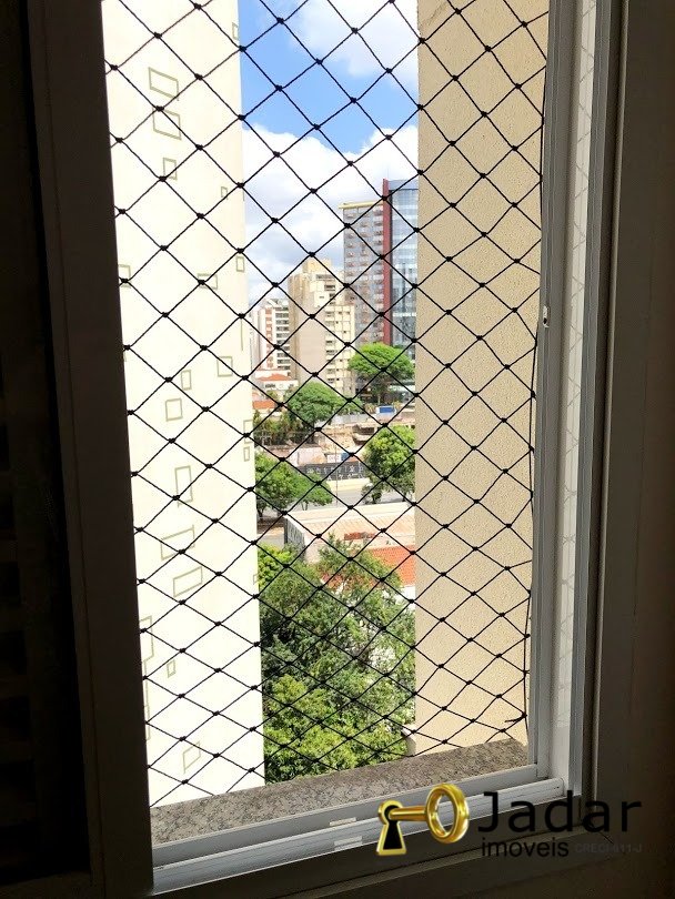 Imagem da propriedade 41