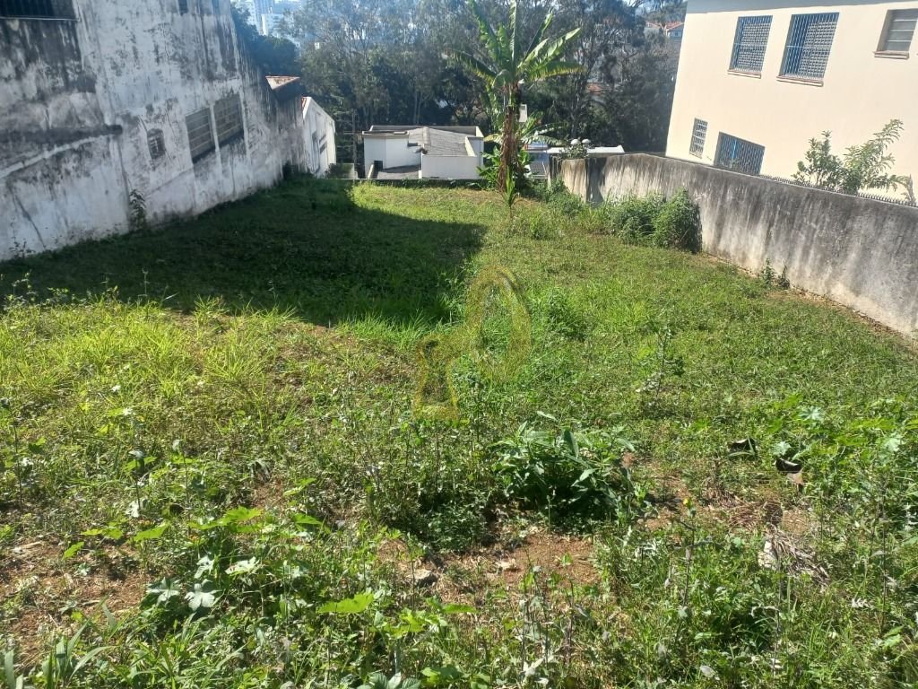 Imagem da propriedade 2