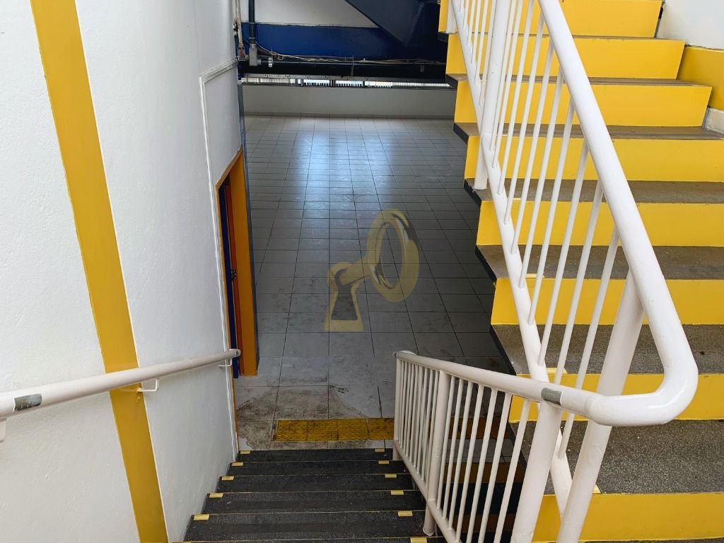 Imagem da propriedade 5