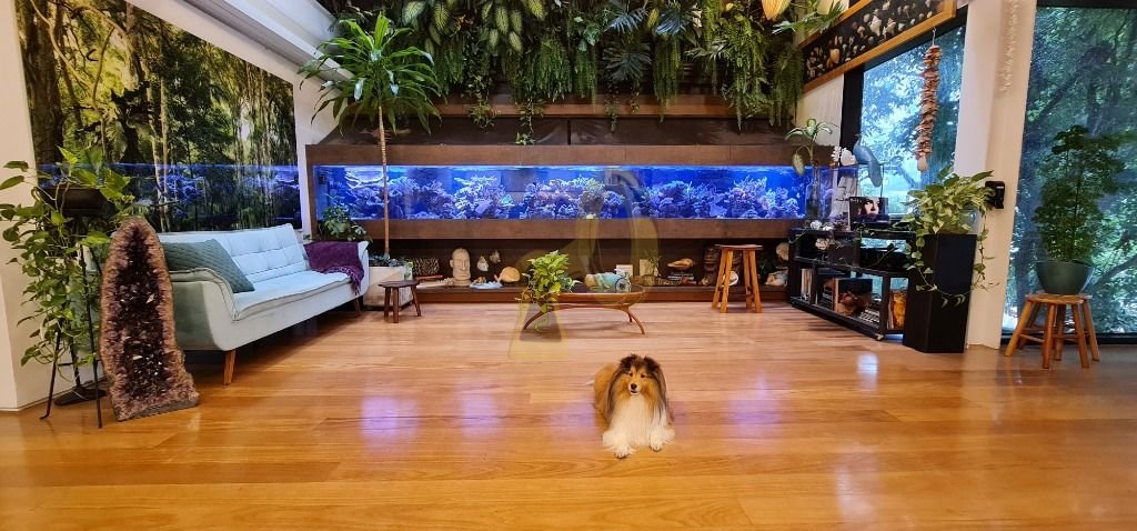 Imagem da propriedade 5