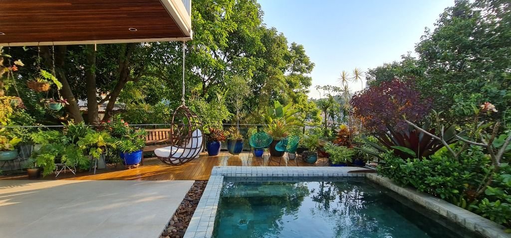 Imagem da propriedade 12