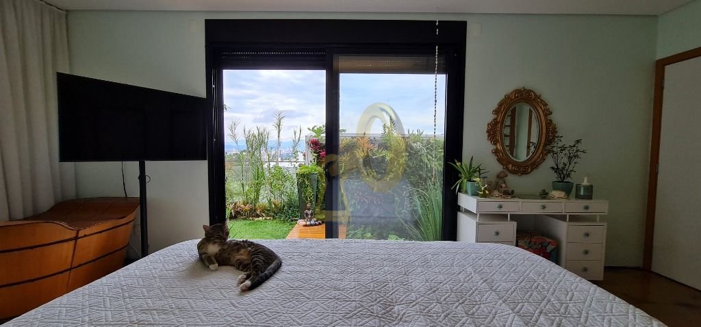 Imagem da propriedade 17