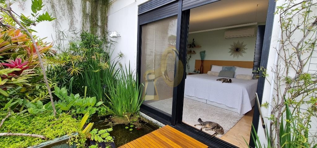 Imagem da propriedade 18