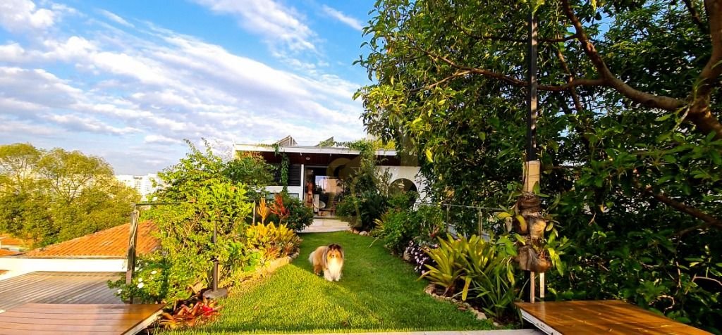 Imagem da propriedade 25