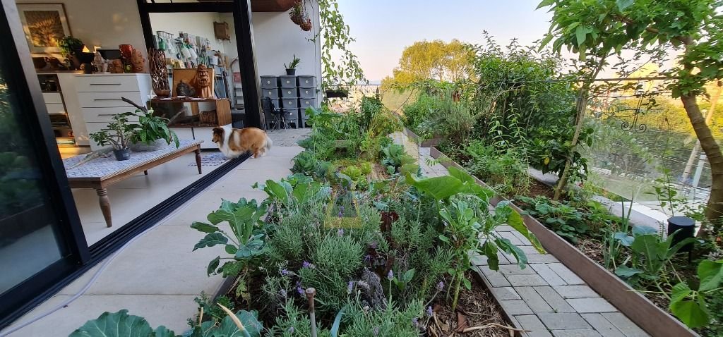 Imagem da propriedade 30