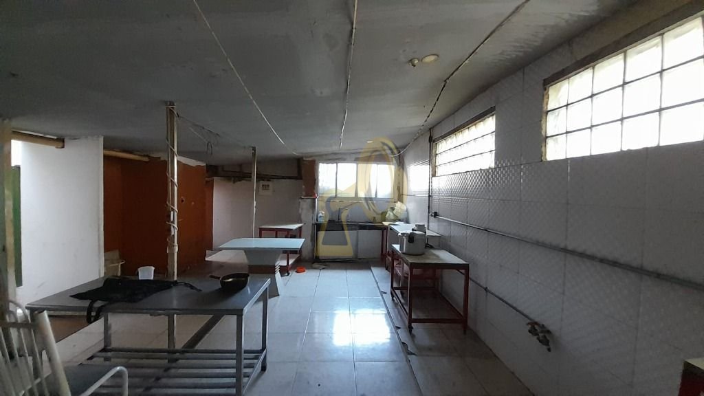 Imagem da propriedade 3