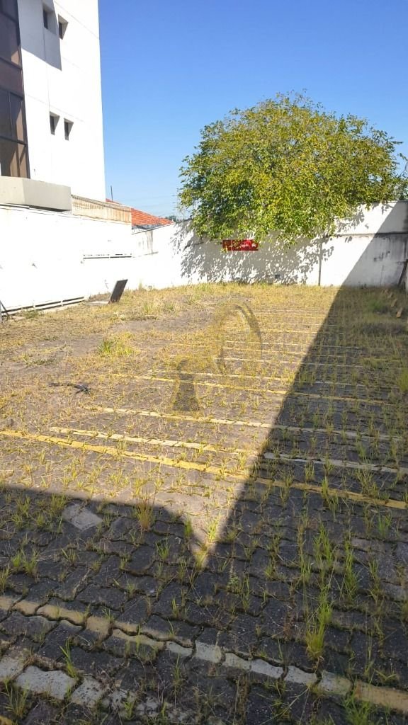 Imagem da propriedade 17