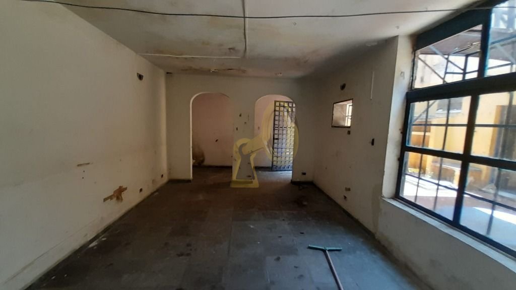 Imagem da propriedade 11