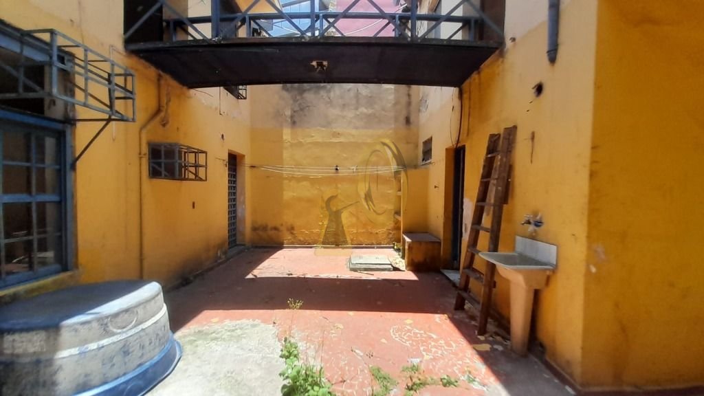 Imagem da propriedade 13