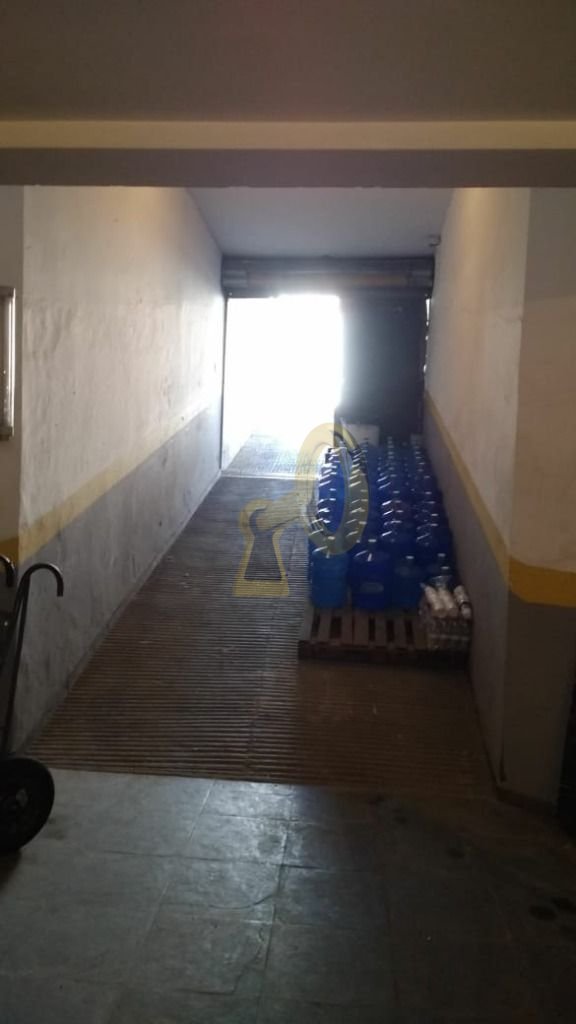 Imagem da propriedade 3