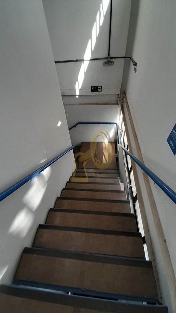 Imagem da propriedade 5