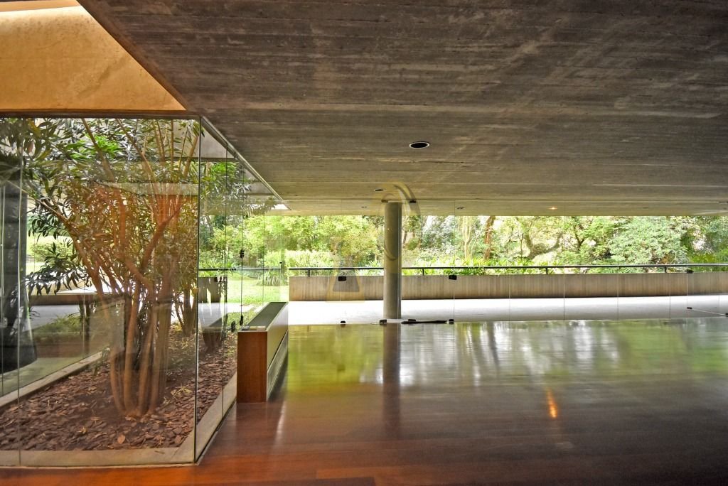 Imagem da propriedade 22