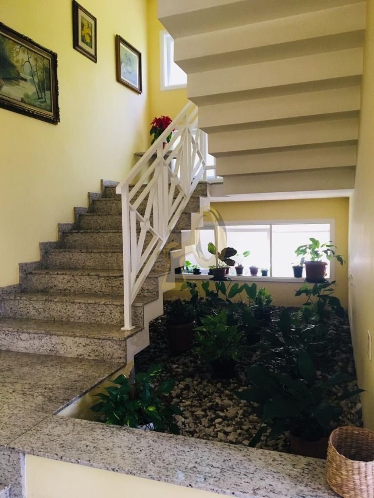 Imagem da propriedade 37