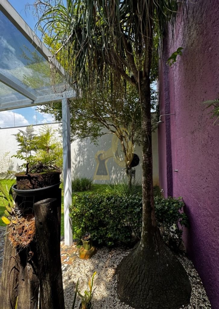 Imagem da propriedade 17