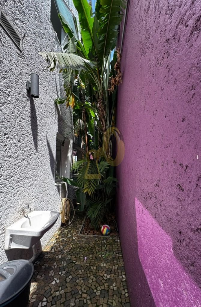 Imagem da propriedade 34