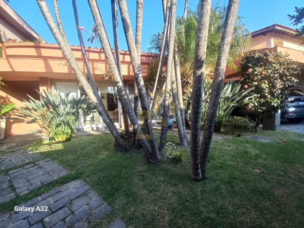 Imagem da propriedade 13