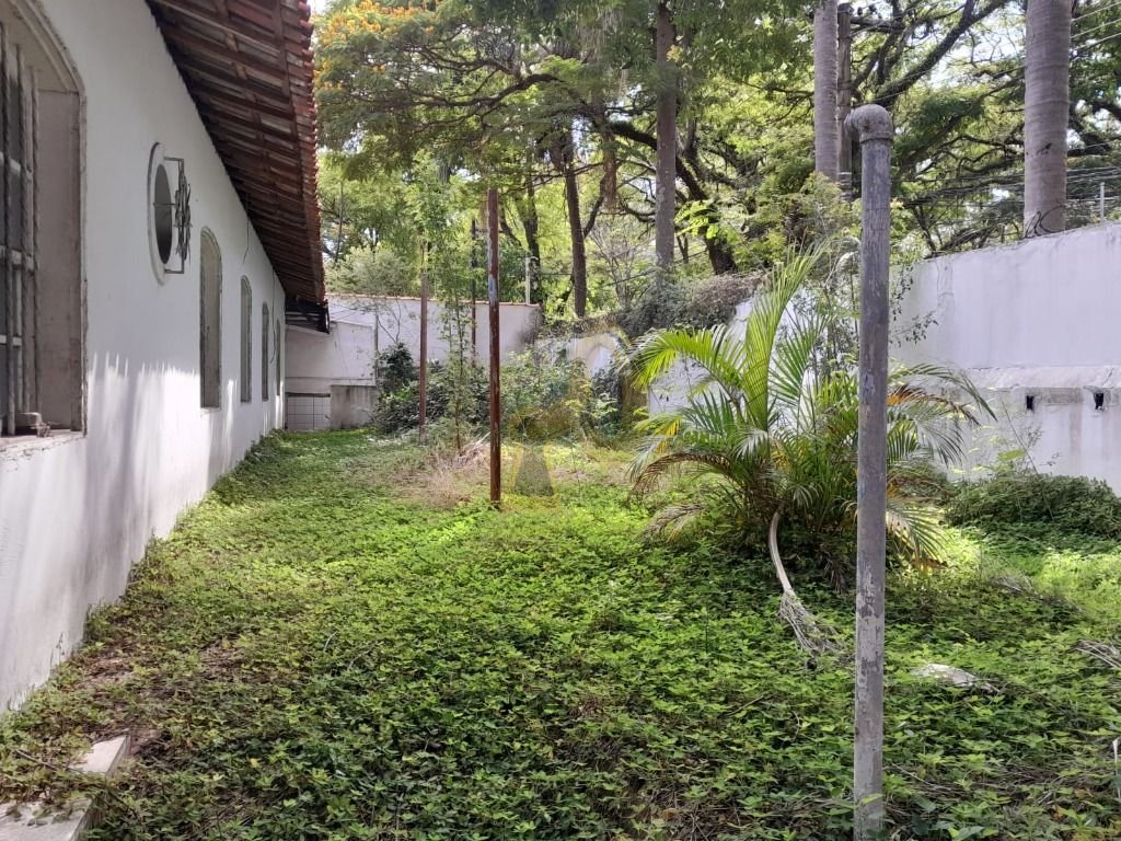 Imagem da propriedade 3