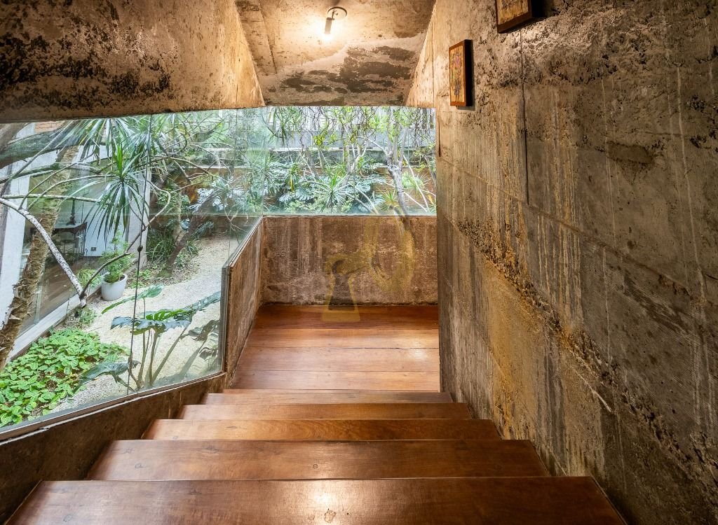 Imagem da propriedade 30