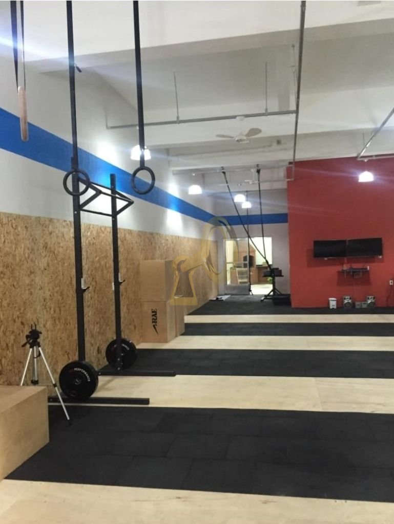 Imagem da propriedade 6