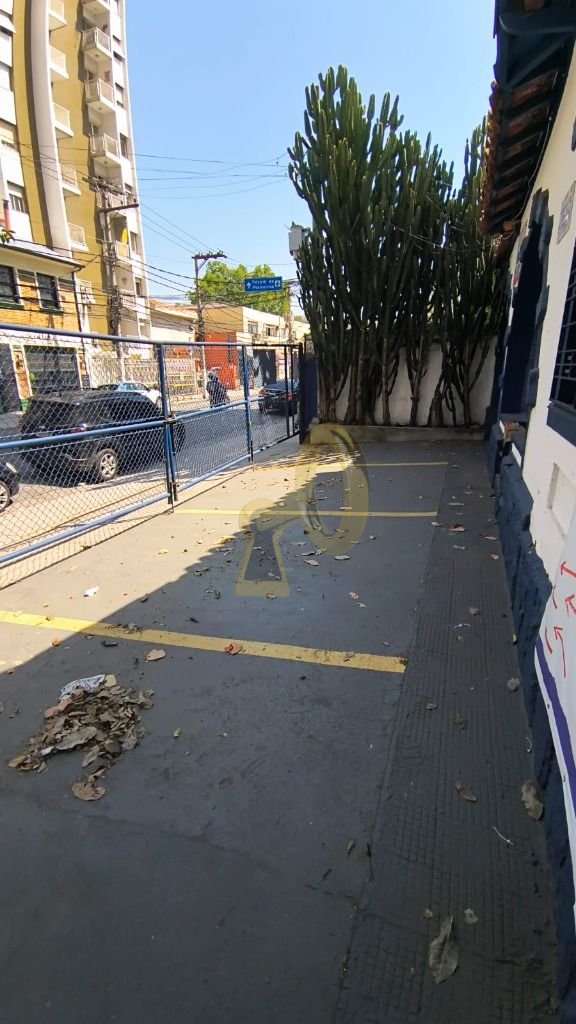 Imagem da propriedade 3