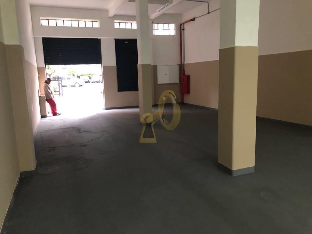 Imagem da propriedade 3