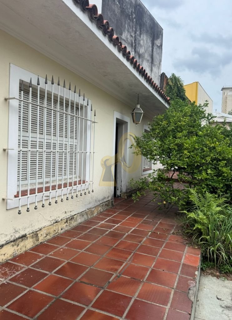 Imagem da propriedade 13