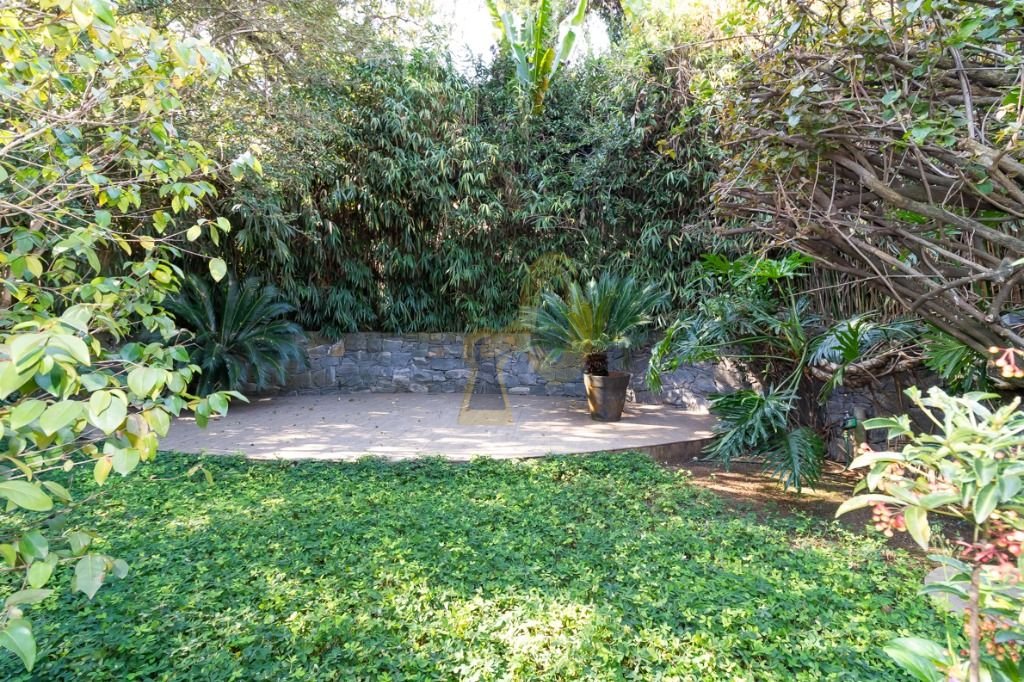 Imagem da propriedade 19