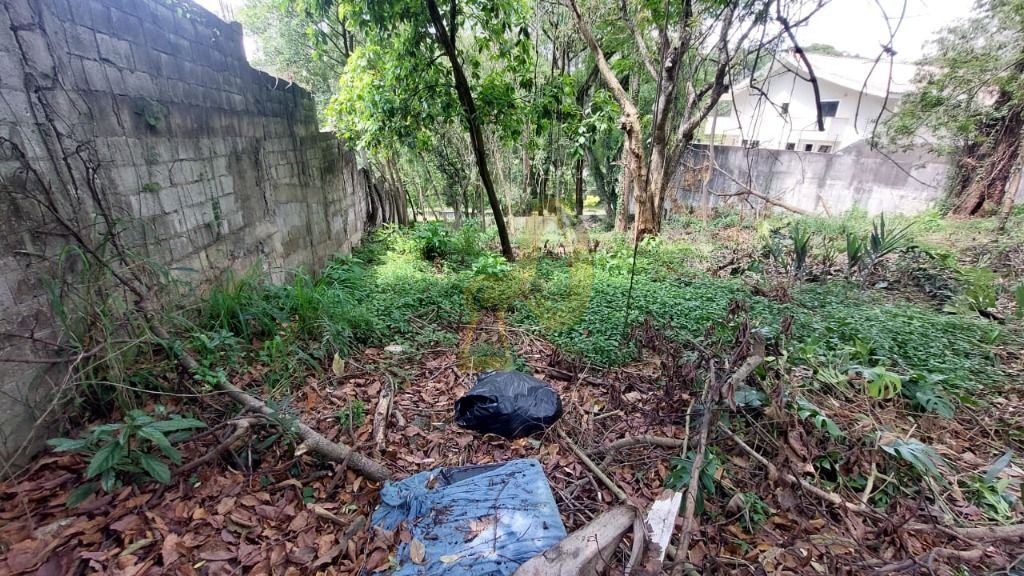 Imagem da propriedade 2