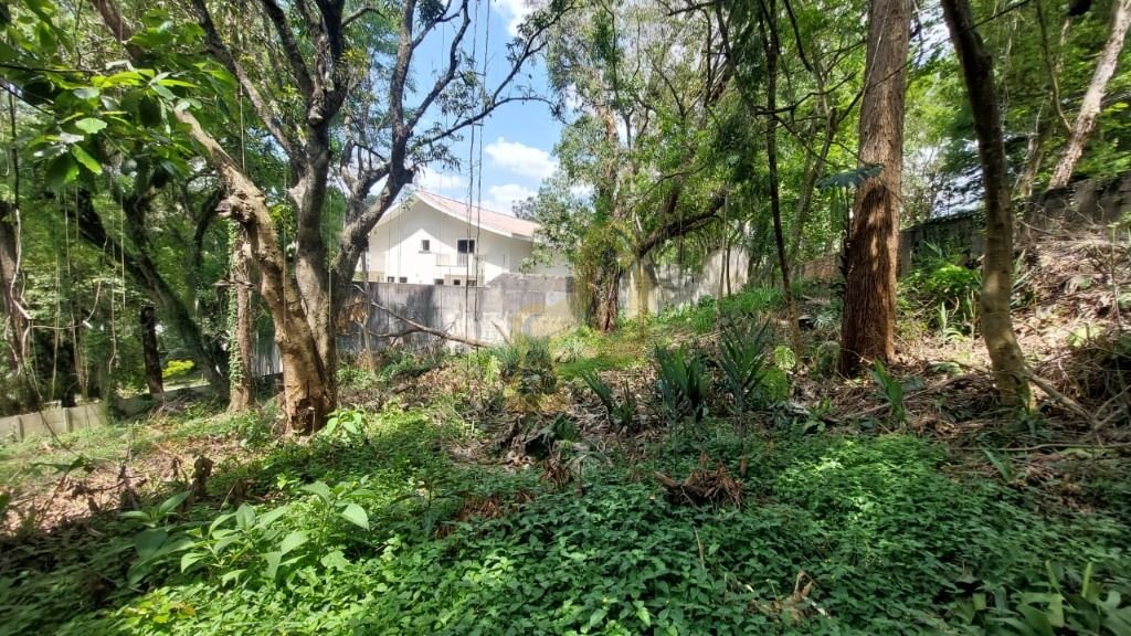 Imagem da propriedade 3