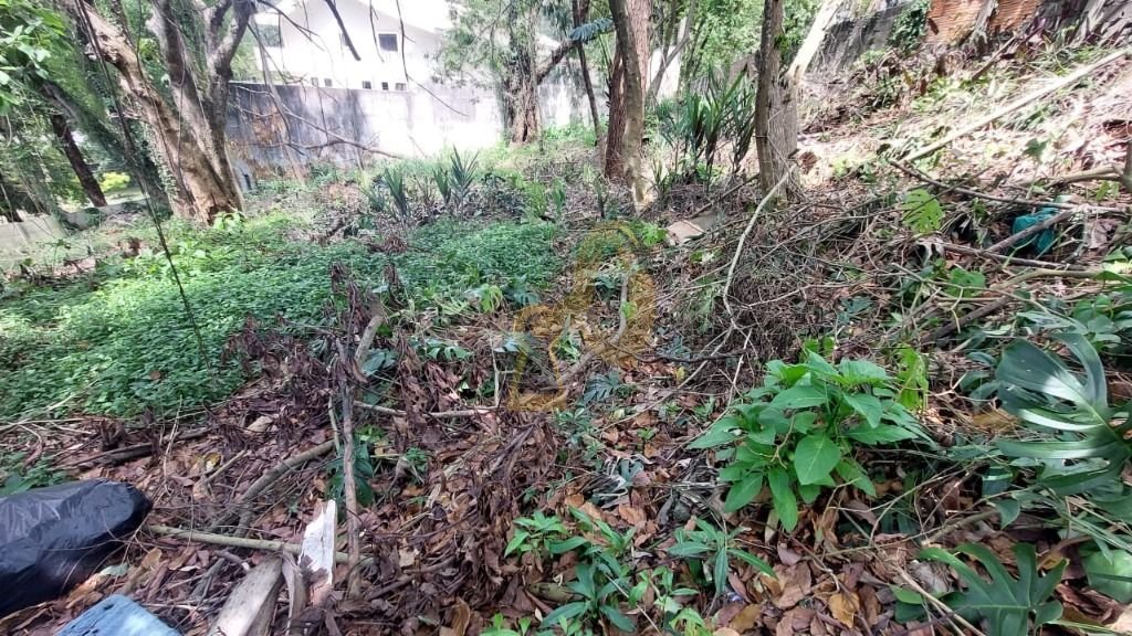 Imagem da propriedade 4