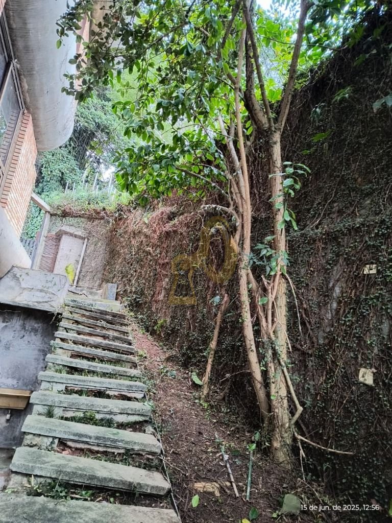 Imagem da propriedade 14