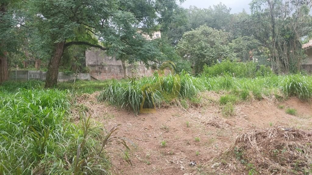 Imagem da propriedade 4