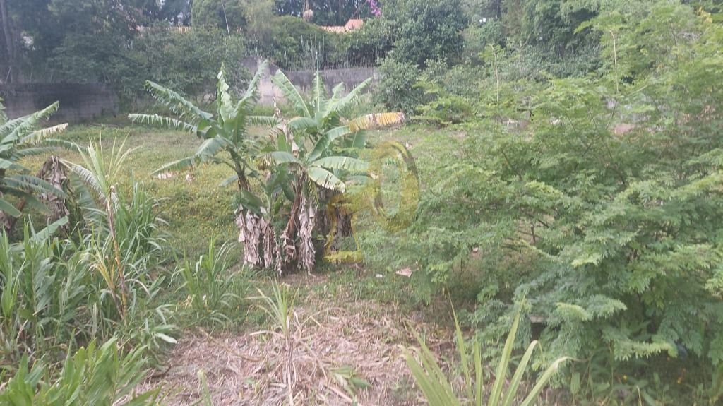 Imagem da propriedade 5