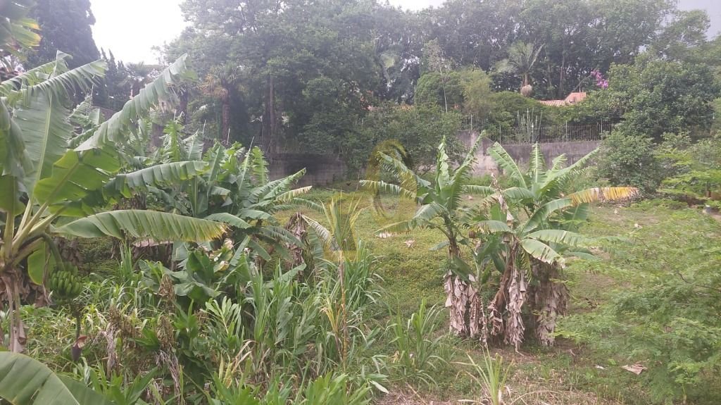 Imagem da propriedade 6