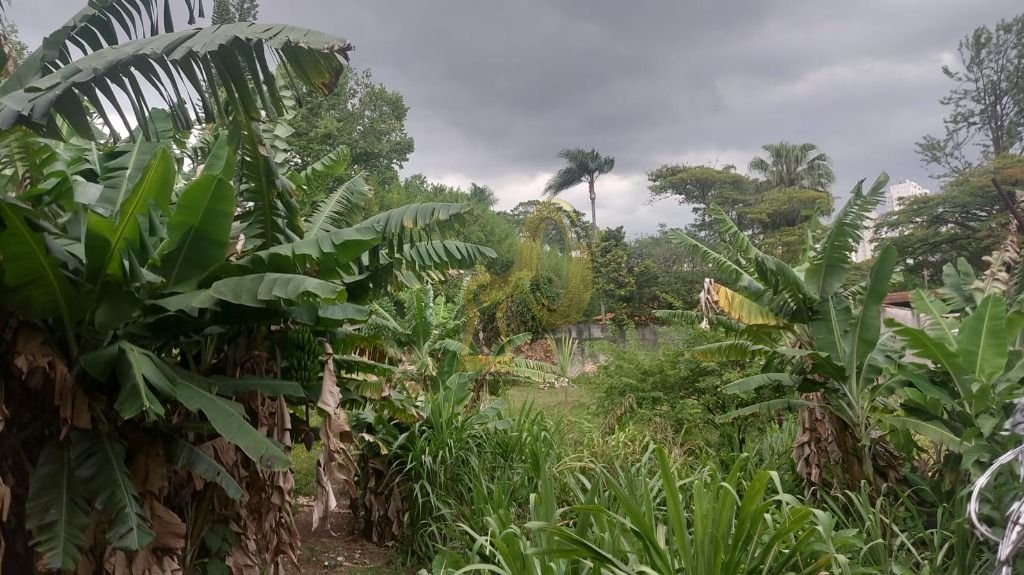 Imagem da propriedade 7