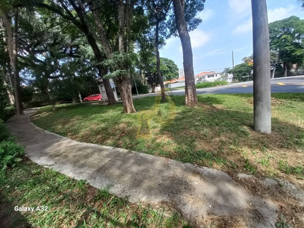 Imagem da propriedade 5