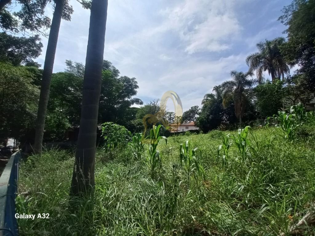 Imagem da propriedade 2