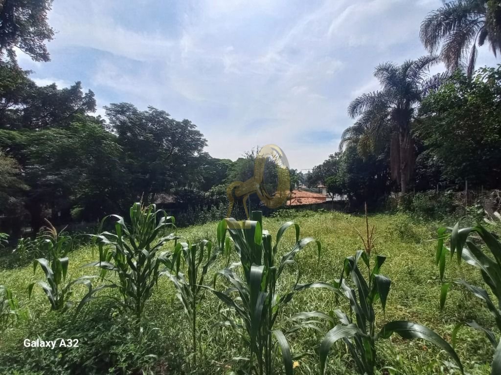 Imagem da propriedade 6