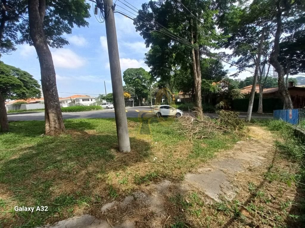 Imagem da propriedade 7