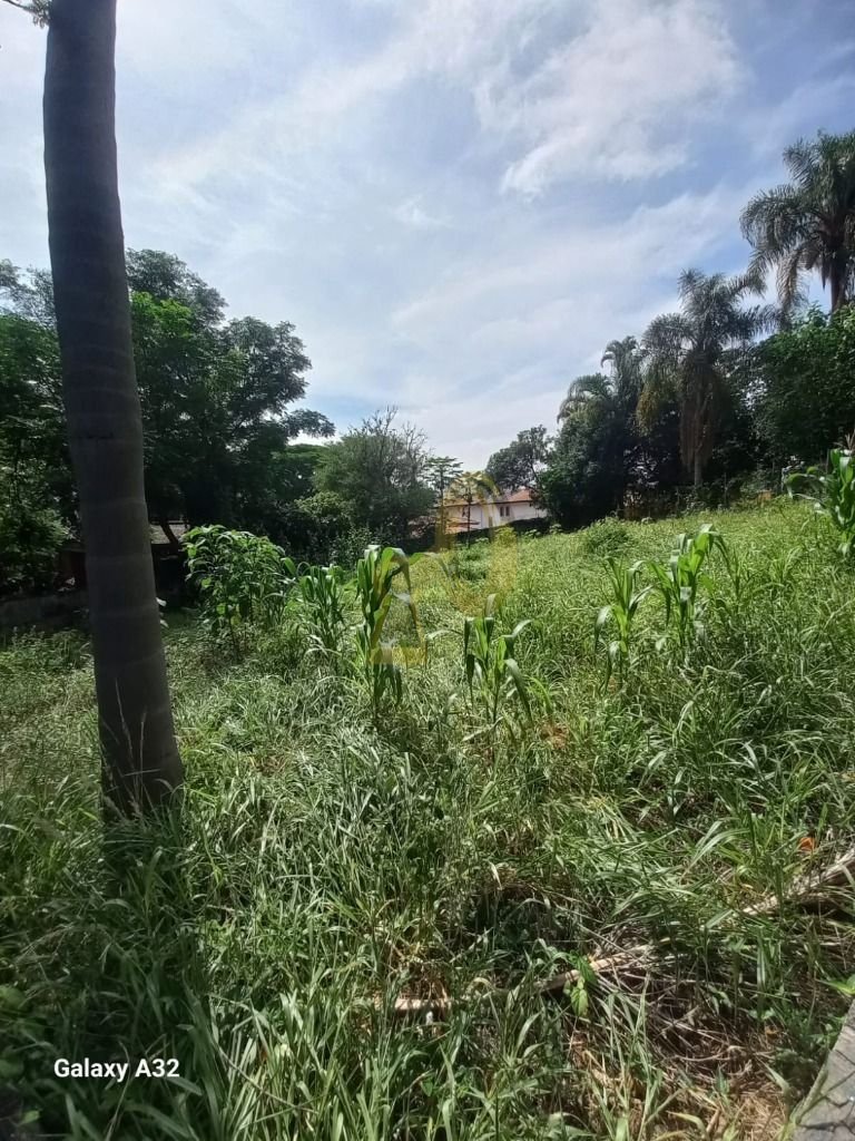 Imagem da propriedade 8