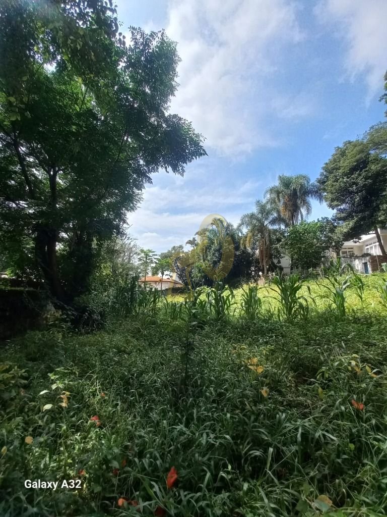 Imagem da propriedade 9