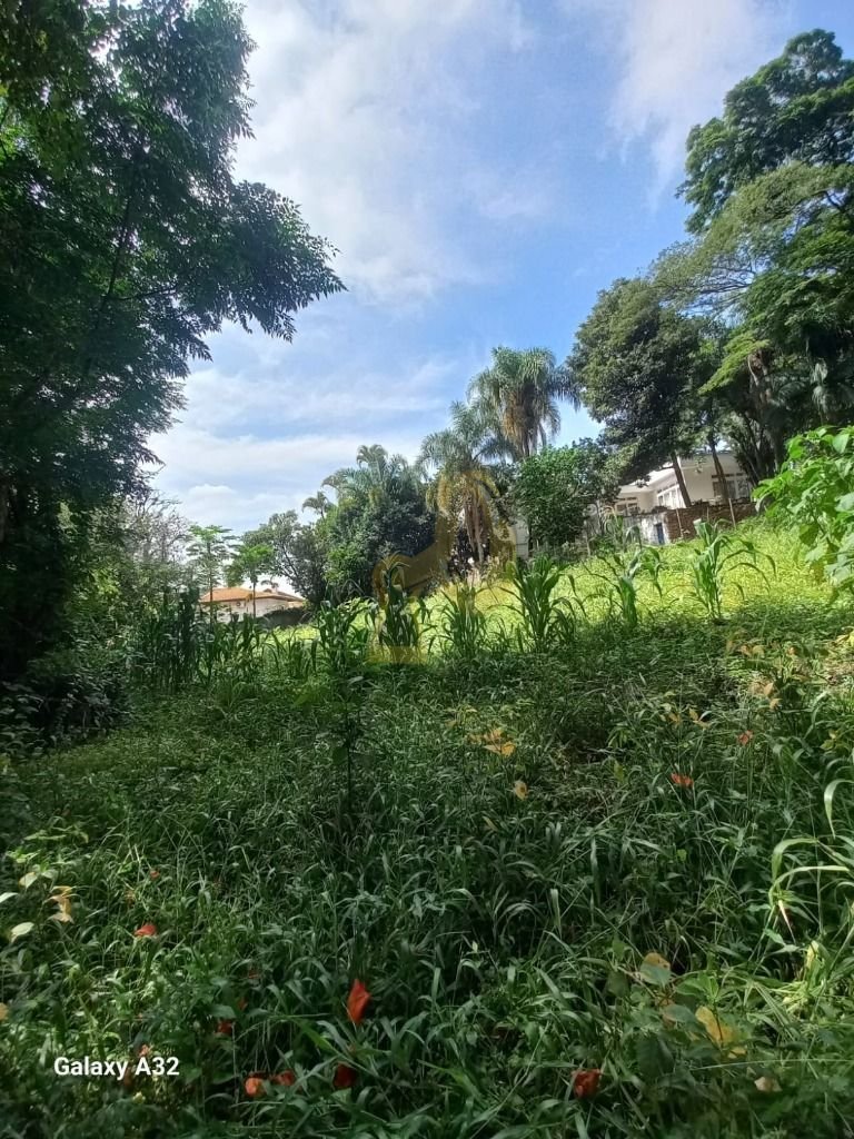 Imagem da propriedade 10