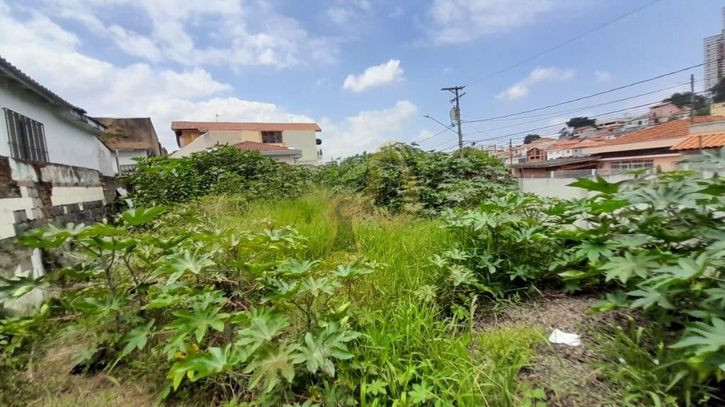 Imagem da propriedade 5