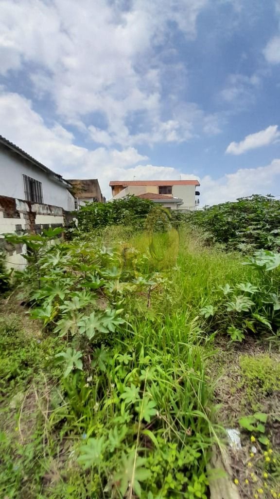 Imagem da propriedade 6