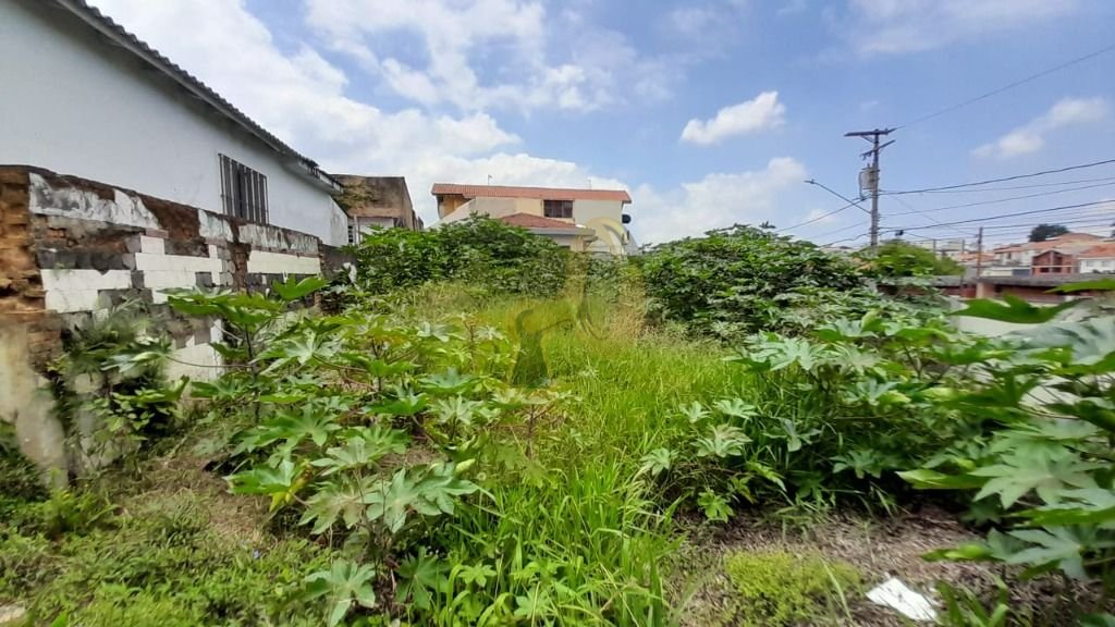 Imagem da propriedade 7